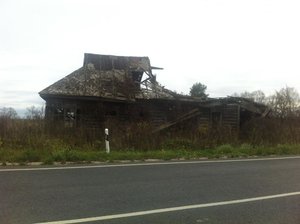 IMG_2343.jpg