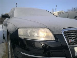 Чернуха в иние.jpg