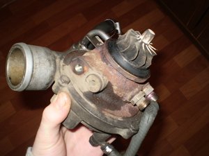 P1010034.jpg