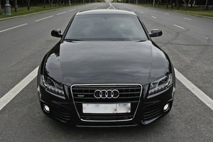IMG_0124.jpg