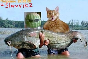 Untitled.jpg