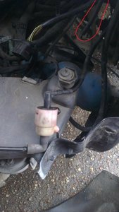 IMAG0025.jpg