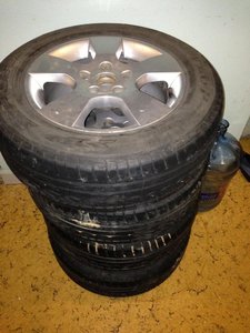 IMG_1879.jpg