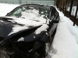 IMG_1343.jpg