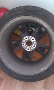IMAG1352.jpg