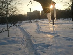 2013-02-17 09.58.45.jpg