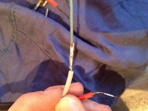 IMG_1443.jpg