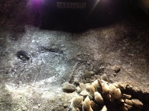 IMG_1473.jpg