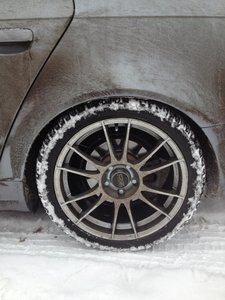 IMG_2597.jpg