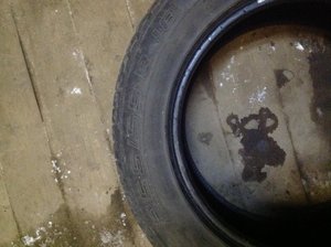 IMG_1205.jpg