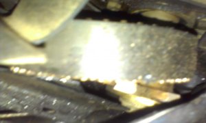 IMAG0872.jpg