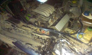 IMAG0873.jpg