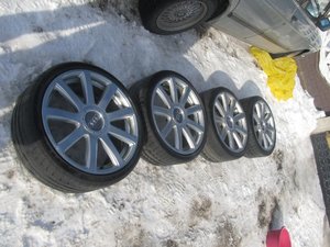 IMG_5340[1].jpg