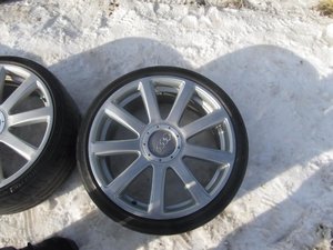 IMG_5344[1].jpg