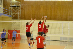 IMG_6566.jpg