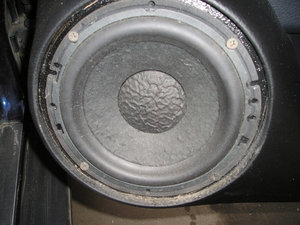 P1010036-1.jpg