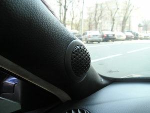 P1010018-1.jpg