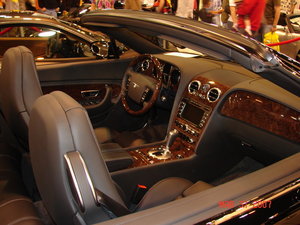 auto show 07 132.jpg