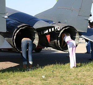 48954776.jpg