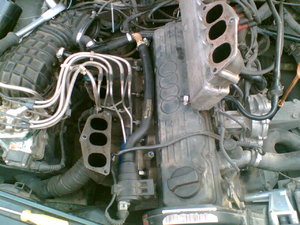 Image(018).jpg