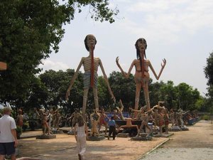 IMG_3643.jpg