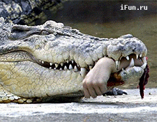 eAnpYJPDgX.gif