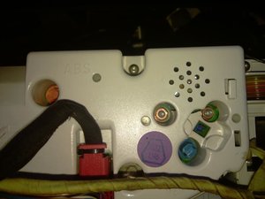 IMAG0681.jpg