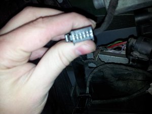 20130228_202006.jpg