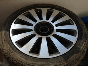 IMG_1262.jpg