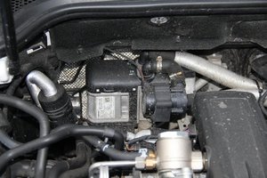 IMG_6235.JPG
