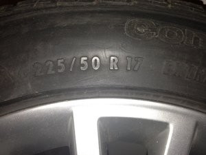 IMG_0040.jpg