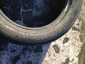 IMG_2251.jpg