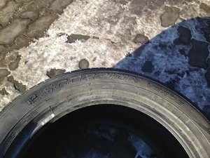 IMG_2254.jpg