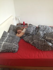 IMG_0850.jpg