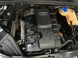 1125f5a4.jpg