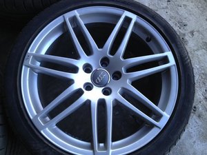 IMG_2310.jpg