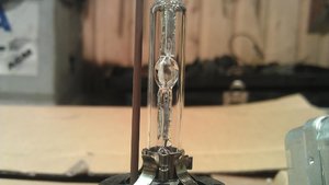 IMAG0842.jpg