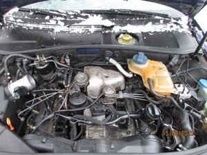 IMG_0076.jpg