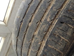 IMG_1279.jpg