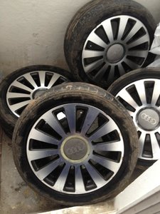 IMG_1281.jpg