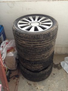 IMG_1286.jpg