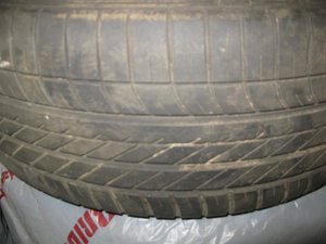 IMG_1569.jpg