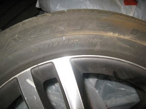 IMG_1572.jpg