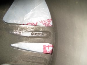 IMG_1577.jpg