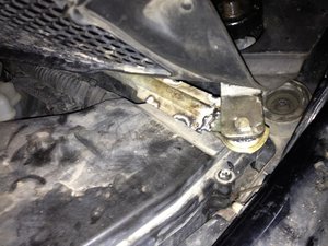 IMG_1382[1].jpg