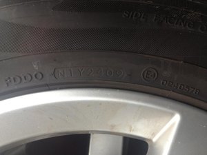 IMG_0394.jpg