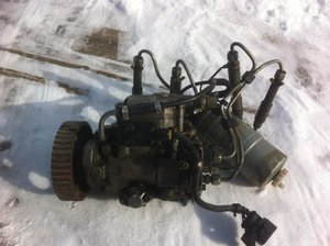 IMG_1553.jpg