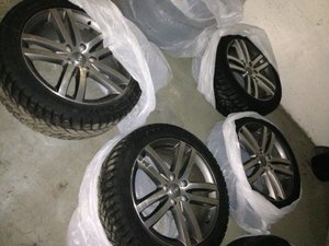 IMG_0119.JPG