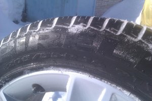 IMAG0302.jpg