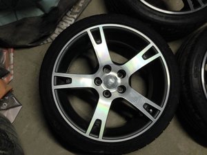 IMG_1351.jpg
